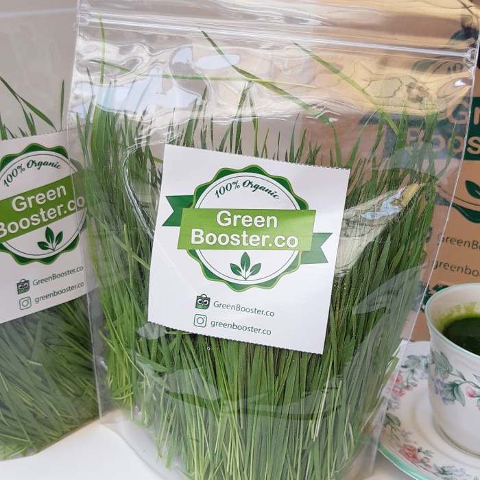 

Fresh Cut Wheatgrass (200 gr) (BERKUALITAS)
