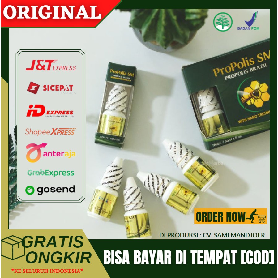 Obat Herbal Untuk Penyakit Anosmia, Gangguan Pada Hidung, Kelainan Hidung Alergi Hidung, Propolis SM