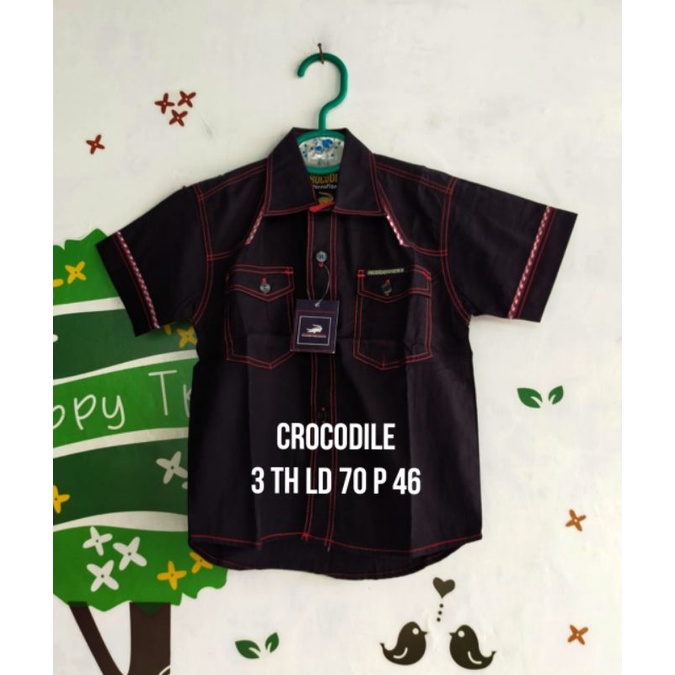 Kemeja Lengan Pendek Anak Crocodile