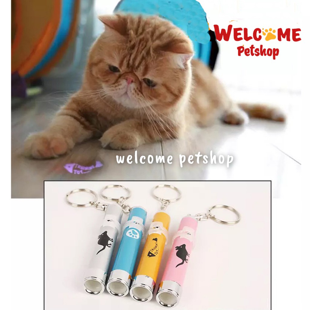 MAINAN KUCING LASER / SENTER / POINTER BENTUK KARAKTER - Cat Toy