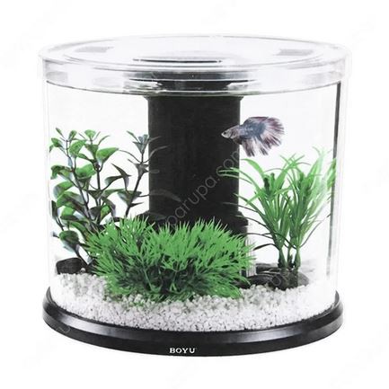 aquarium boyu mini