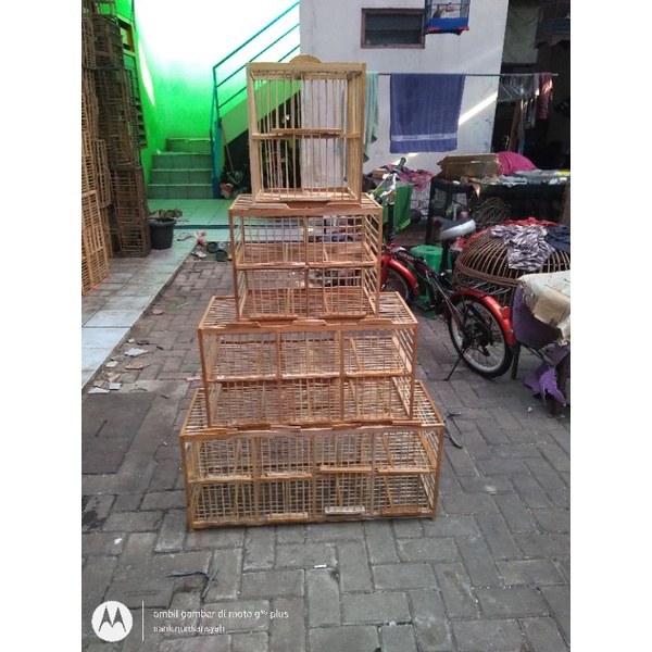 kandang dondang burung dara kayu jati