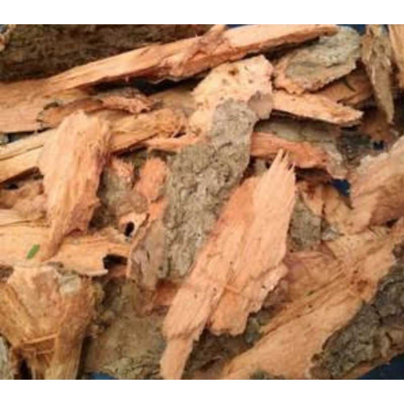 

kulit Duwet/ jamblang_obat herbal/godok untuk diabetes