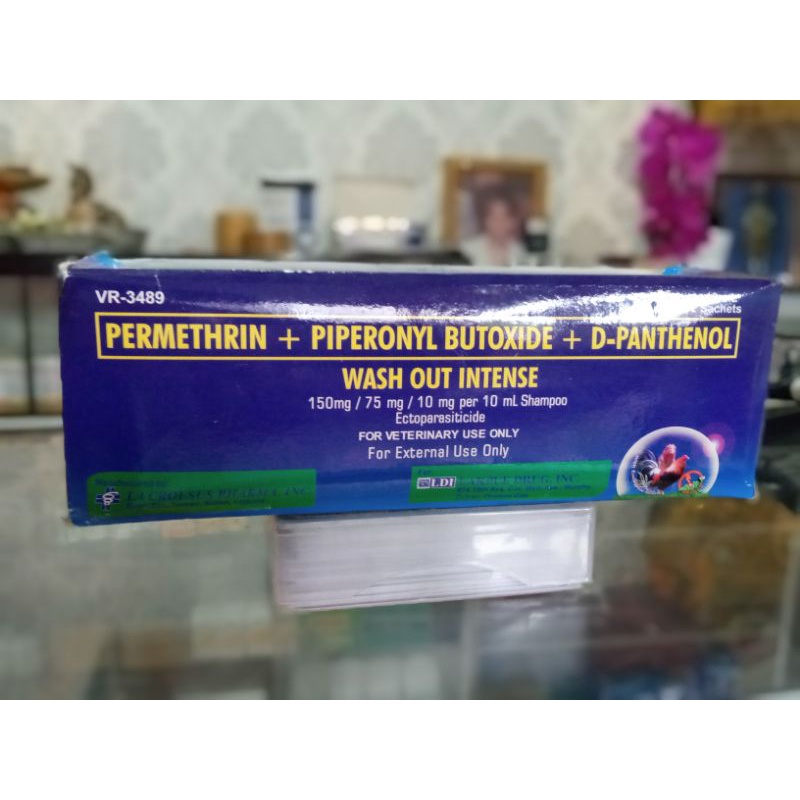 Wash out intense(shampo ayam)