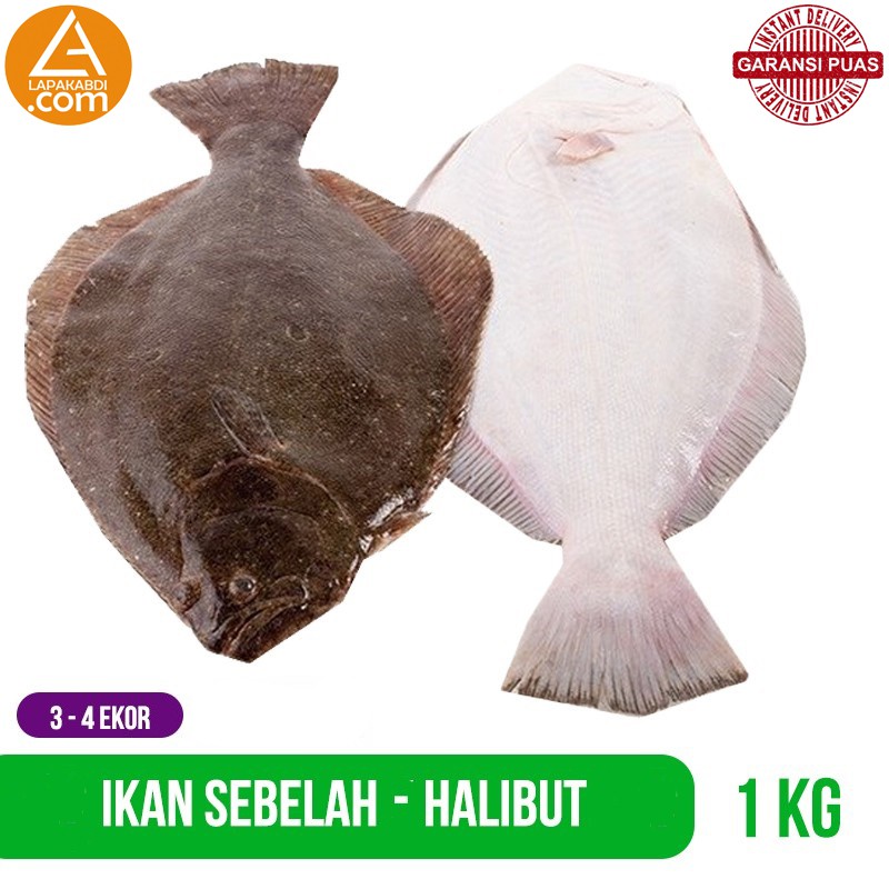 

Ikan Sebelah Pihi Sole Lidah Halibut 1 kg Ikan Laut Seafood Segar