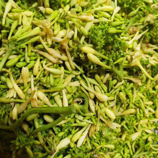 

Bunga pepaya/500 gram