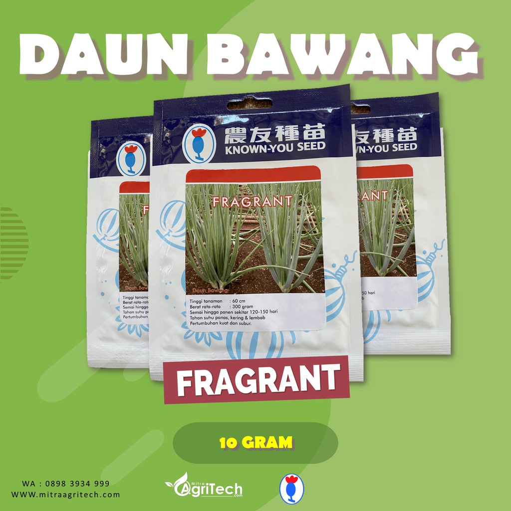 Jual Benih Bibit Daun Bawang Fragrant Isi Gram Known You Seed Shopee Indonesia