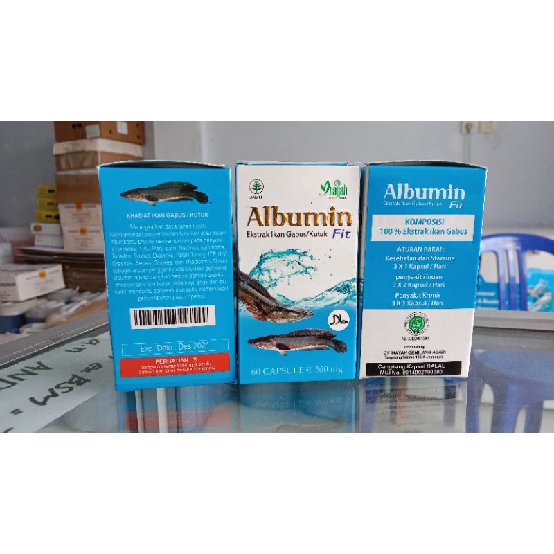 

Albumin Ekstrak Ikan Gabus / Kutuk isi 60 Kapsul