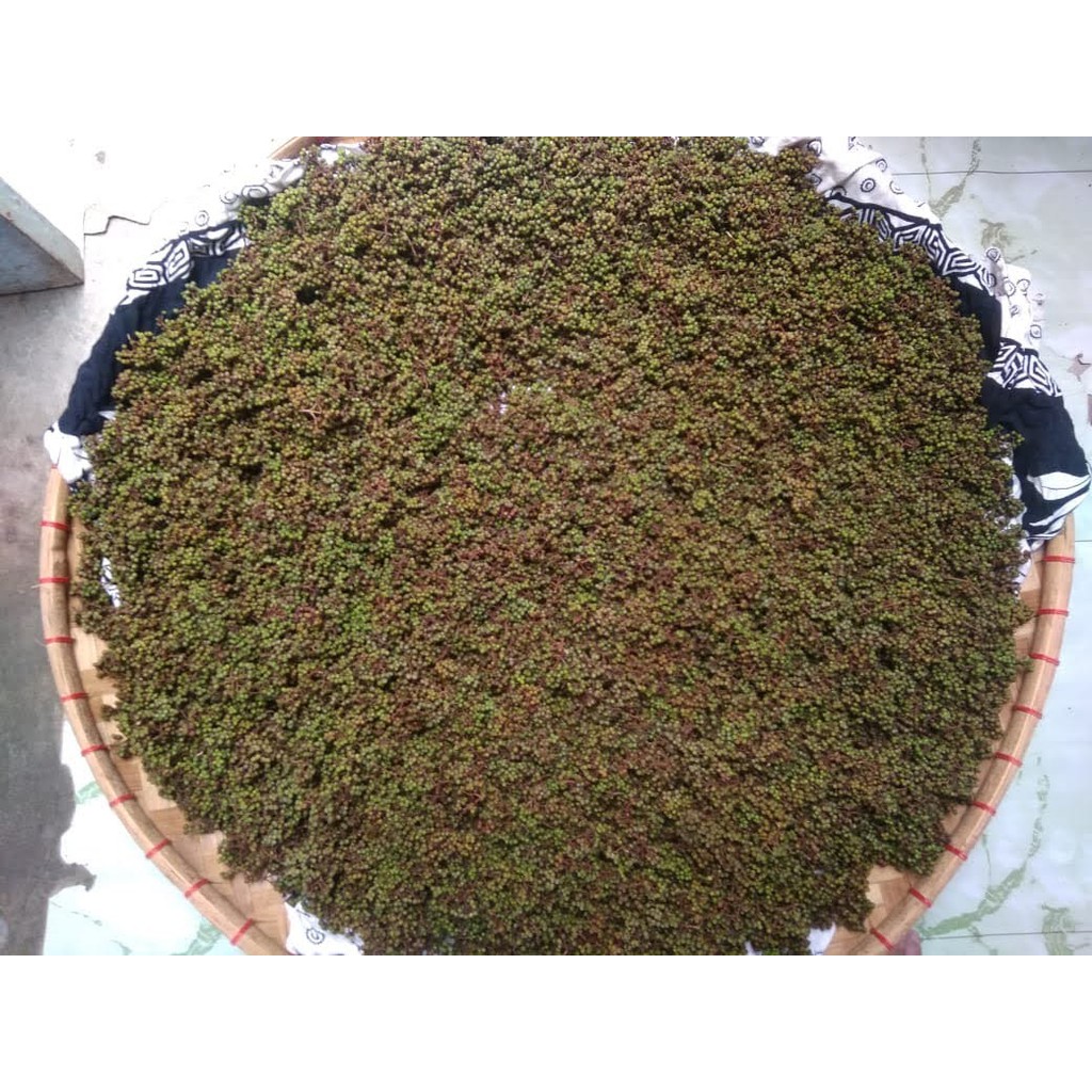 

Andaliman Segar 250g -1Kg