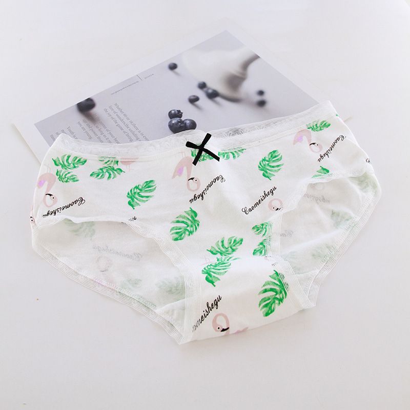 Celana Dalam Wanita Impor Mid Waist Motif Gambar Lucu Cute dan Motif Polos