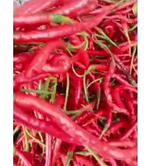 

cabe merah keriting 500gr