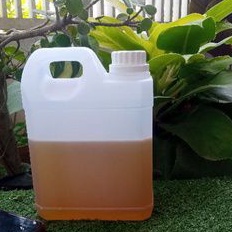 

Madu Murni Raw Honey Nektar Rambutan 1 Kg