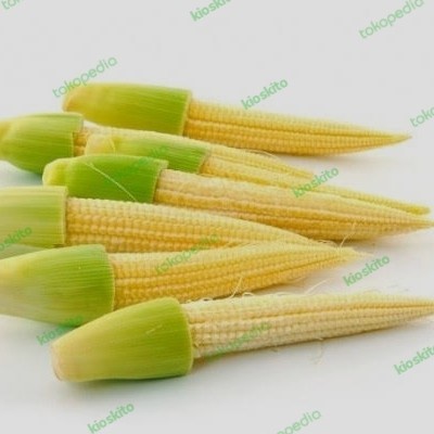 

Jagung Putren (Jagung Muda) - 1/4 kg