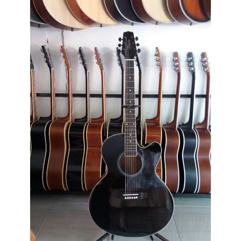 gitar takamine