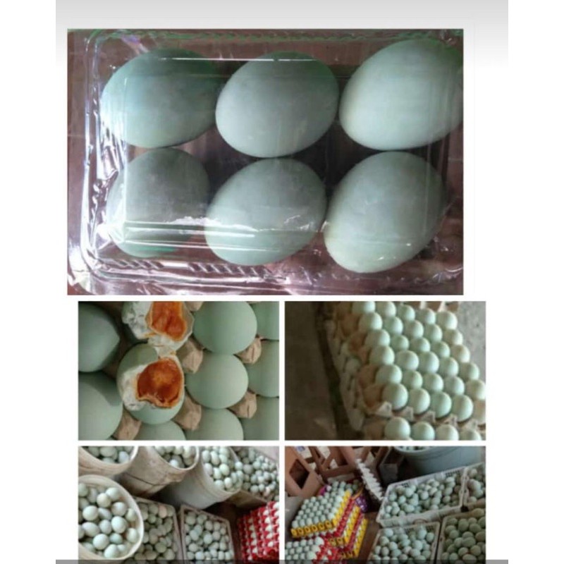 

telur asin 10butir 29rb