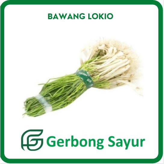 

Daun Bawang Lokio / Bawang Batak Segar - 250g