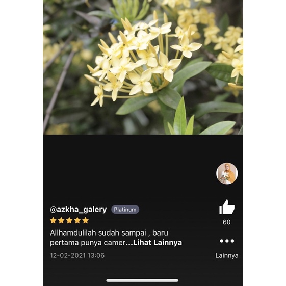 canon eos 1100d  lensa kit 18-55  full efek-6