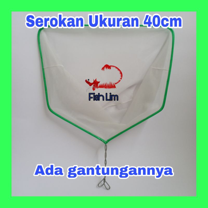 SEROKAN SESER JUMBO IKAN KOI JENTIK KUTIR 40CM