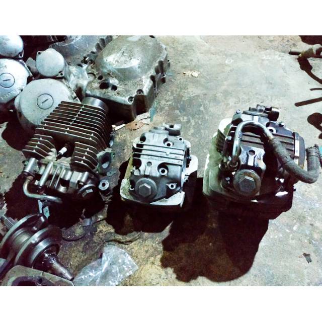 Kop head tiger revolution kosongan