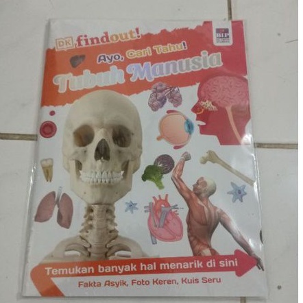 DK Findout Ayo Cari tahu Tubuh Manusia