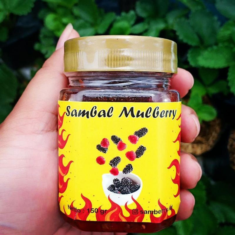 

sambal mulberry