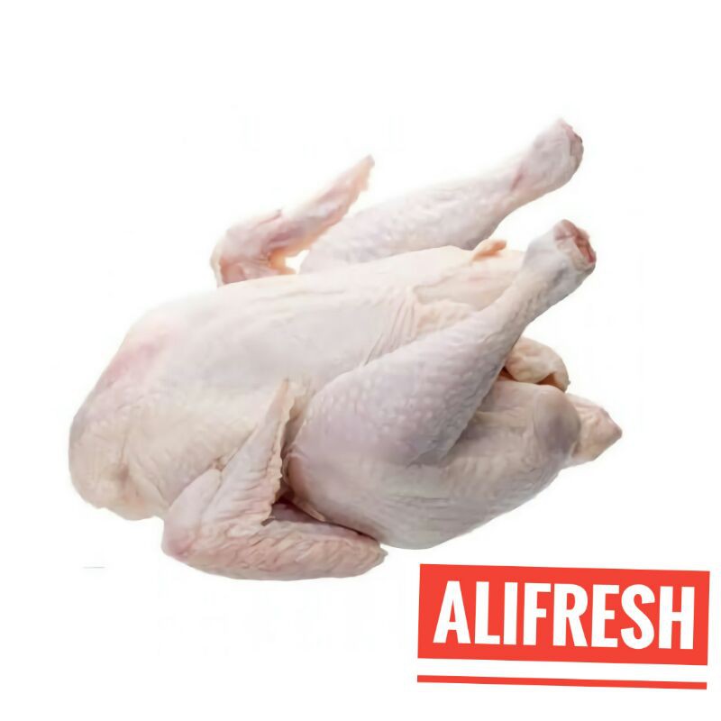 

Ayam boiler 1 ekor
