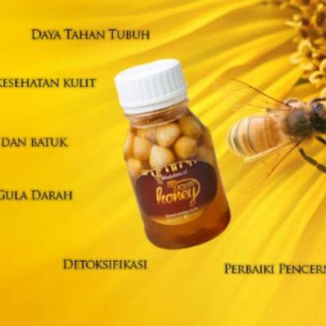 

MADU BAWANG LANANG UNTUK KESEHATAN (BATUK DAN TENGGOROKAN)