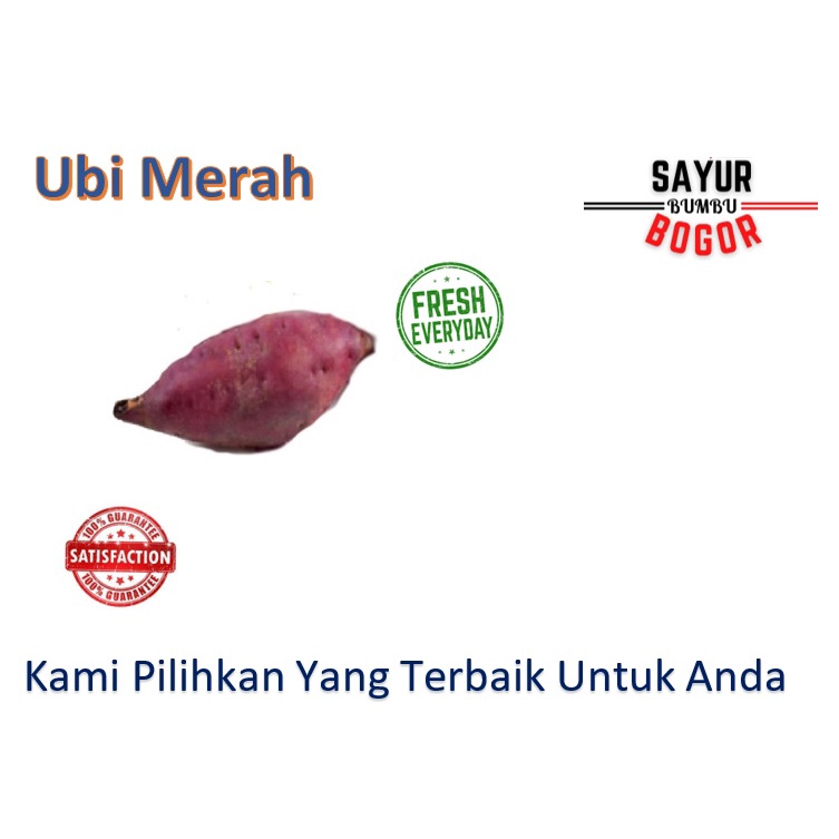

Ubi Merah / Ubi Enak / Ubi Jalar