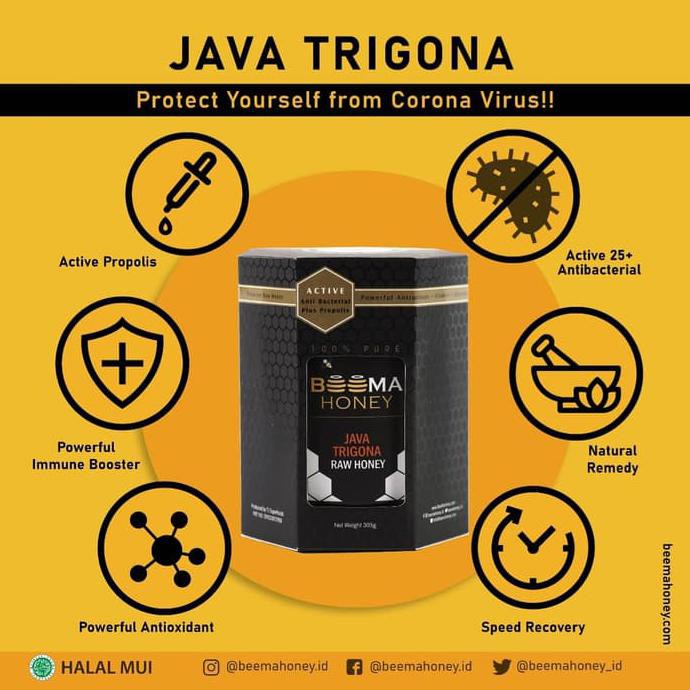 

[[BISA COD]] MADU TRIGONA BEEMA HONEY / madu klanceng stingless bee / madu organik GRATIS ONGKIR