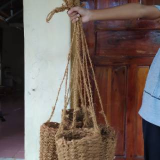  Pot  sabut  kelapa  anggrek tanaman dendrobium bunga 
