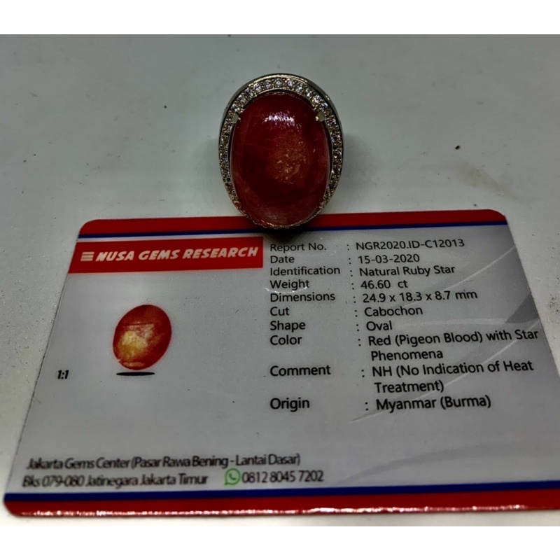 RUBY STAR BURMA JUMBO