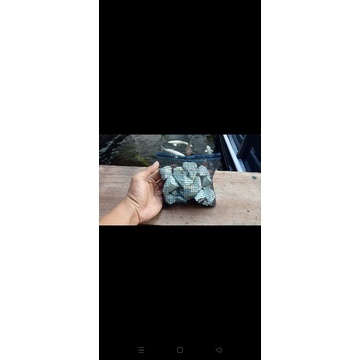 paket media filter aquarium