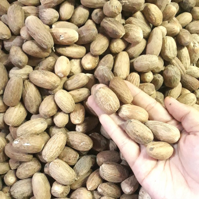 

Biji Pala Nutmeg Panjang Lonjong 500Gram dan 1Kg - 500 gram