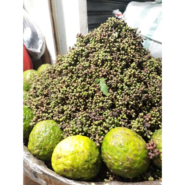 

Andaliman / Andeliman / Tuba Khas Medan Bumbu batak SEGAR KHAS MEDAN