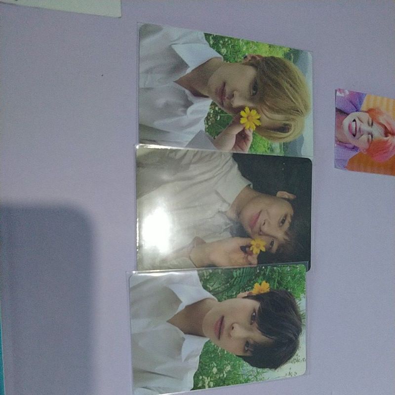 

limited set noaesy
