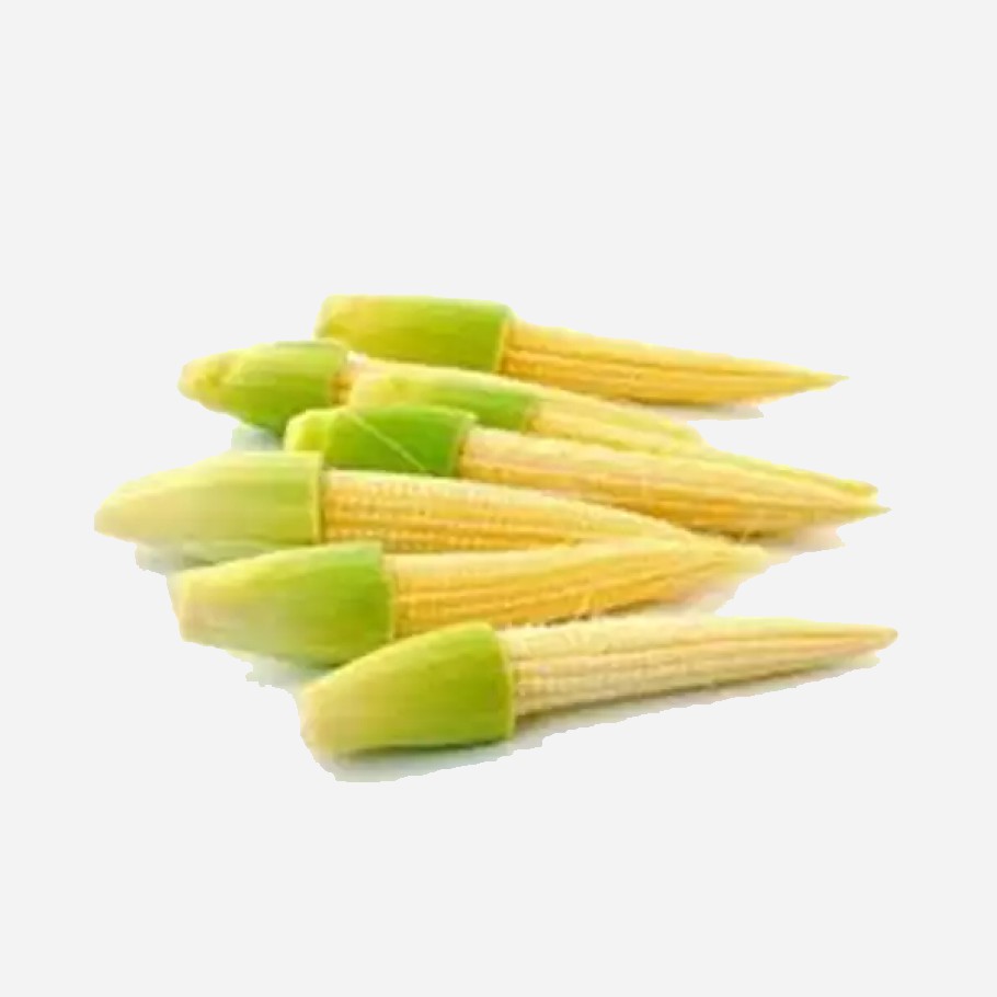 

Jagung Muda / Putren Segar 500 gr & 1 kg
