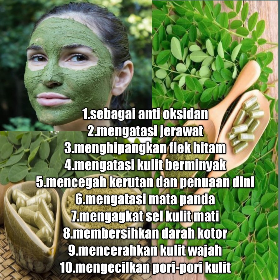 Masker Daun Kelor isi 100 free Kuas