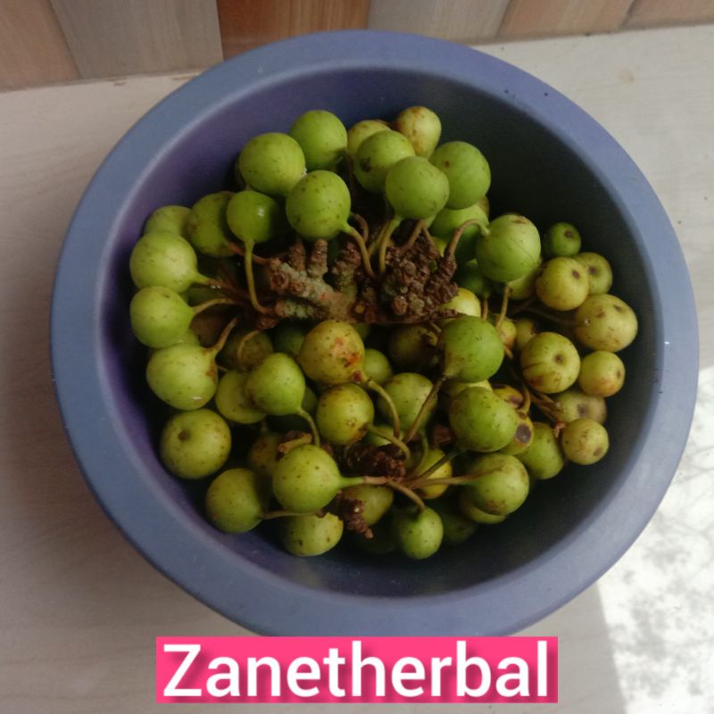 

Buah gondang fresh buah kondang 500 gram langsung petik-az