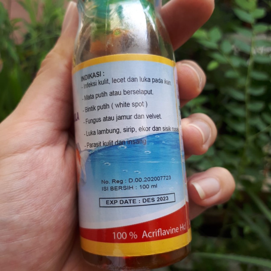 Tama Pro Acriflavine Obat Kuning Ikan Hias Anti Jamur Luka Bakteri