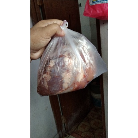 

Daging Babi Hutan Fresh