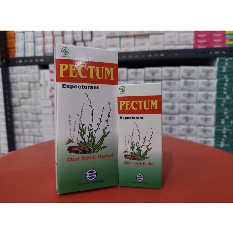 

Pectum Sirup 60 ml 120 ml