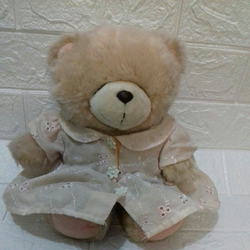 Teddy Ff baju renda