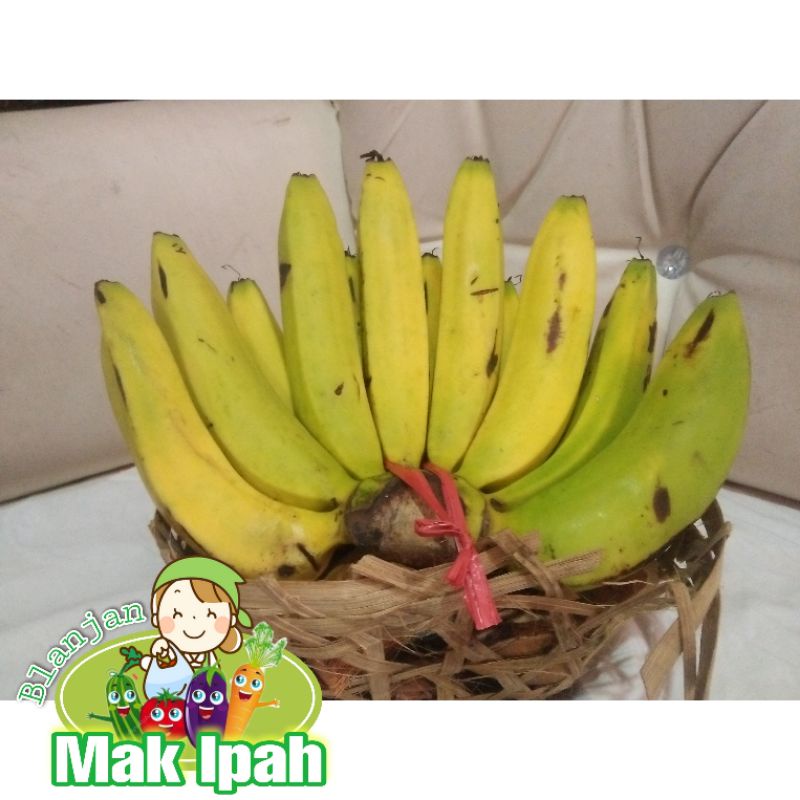

Mak ipah PISANG AMBON/1KRANJANG/1800 GRAM