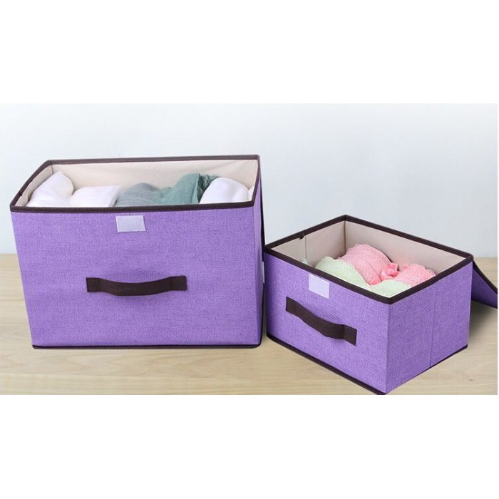 Box 2 in 1 Colour Storage Box / Tempat Penyimpanan (1set dpt 2box)