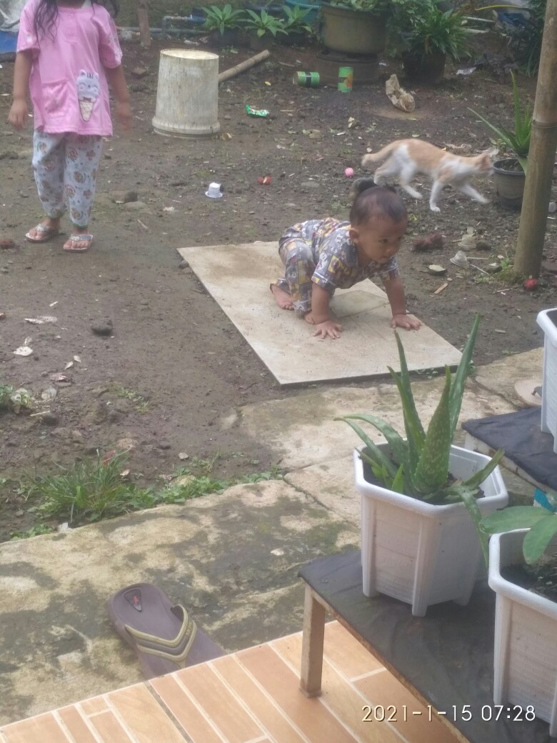 Wajan Kuali Penggorengan Cekung No. 12 Polos Termurah Wajan Kuwali Khas Tasik