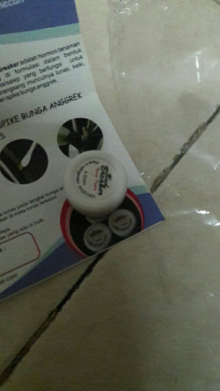 Vitamin B1 Taiwan Liquinox Untuk Semua Jenis Tanaman