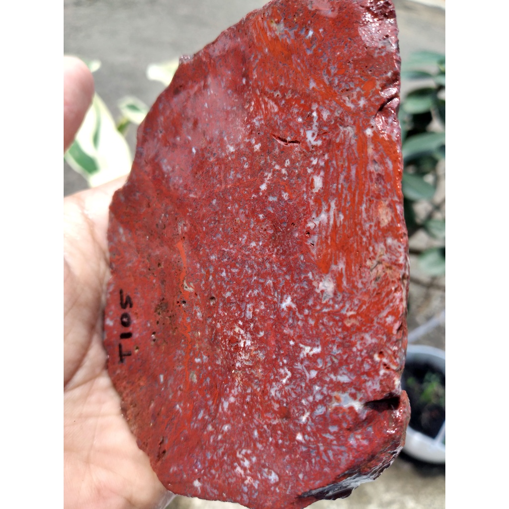 BAHAN BATU AKIK JASPER MERAH KLAWING T105