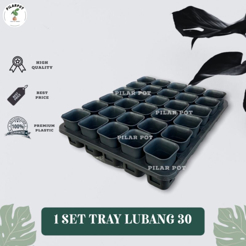 1 SET TRAY LUBANG 30 + POT NKT KOTAK 5CM HITAM 30 PCS | TRAY SEMAI BIBIT