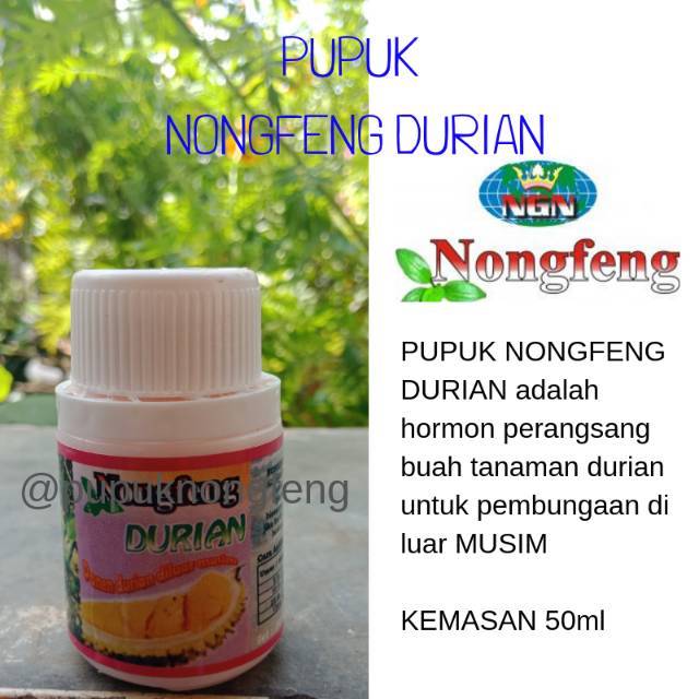 HORMON BOSTER NONGFENG DURIAN
