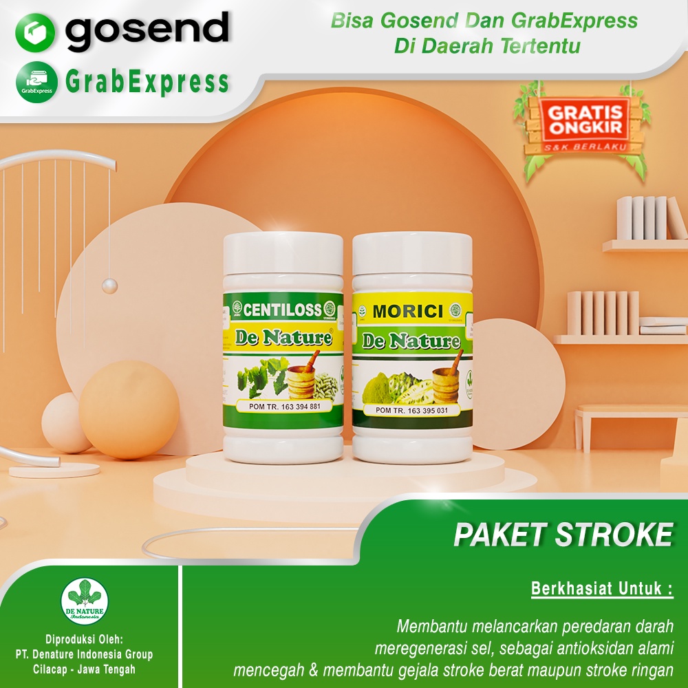 Obat stroke saraf kejepit lumpuh di apotik de nature ampuh